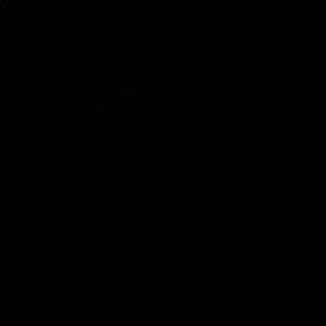 Meet your Posher, Shelby